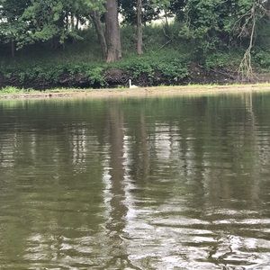 Meet your Posher, Kari